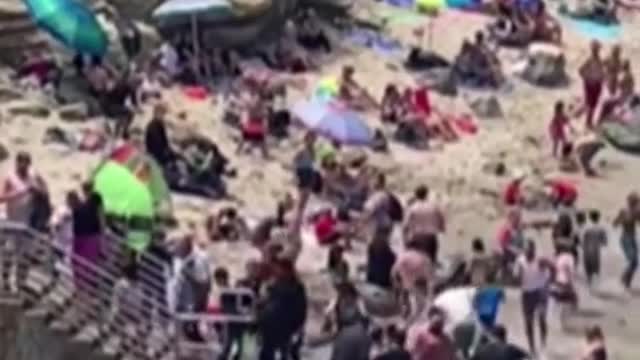 California beachgoers run from charging sea lions