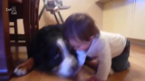 Dogs and babies compilation 2023 best