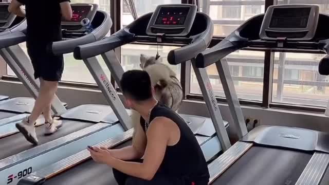 Turn on the treadmill for me