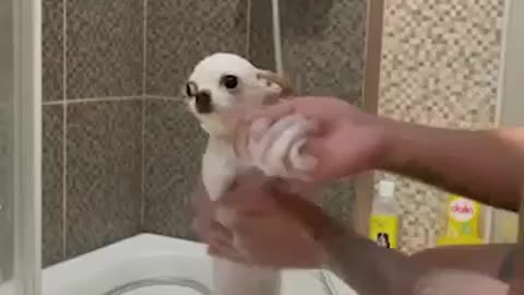 Bath time