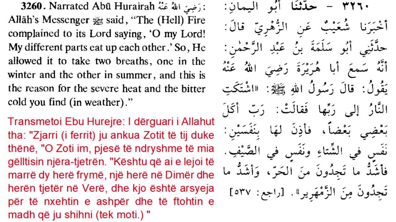 Mrekullia shencore e islamit per shpegimin e krijimit te stineve