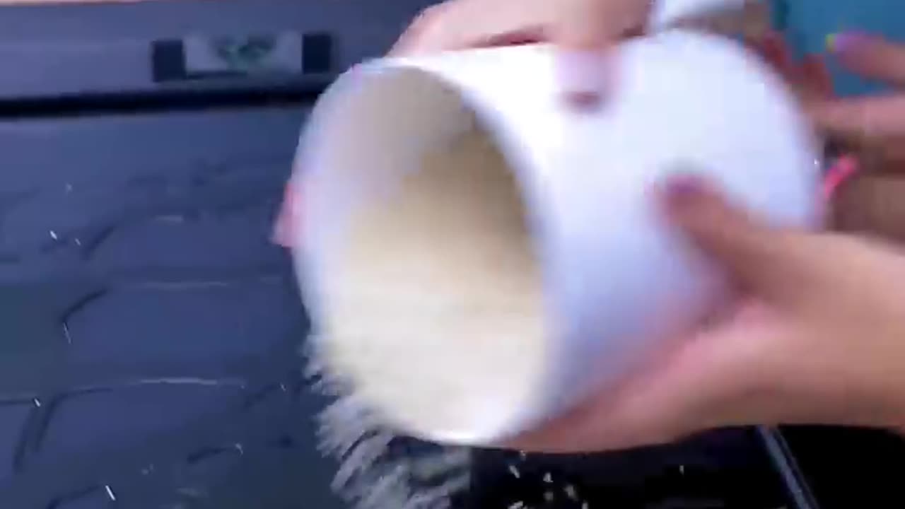 Funny Video