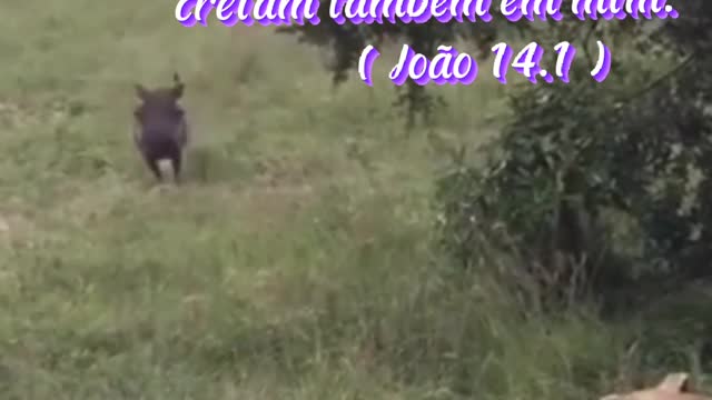DEUS SALVE O BRASIL, DEUS SALVE O BRASIL, DEUS SALVE O BRASIL...