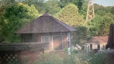 So the gazebo roof job the man of the house is a computer coder