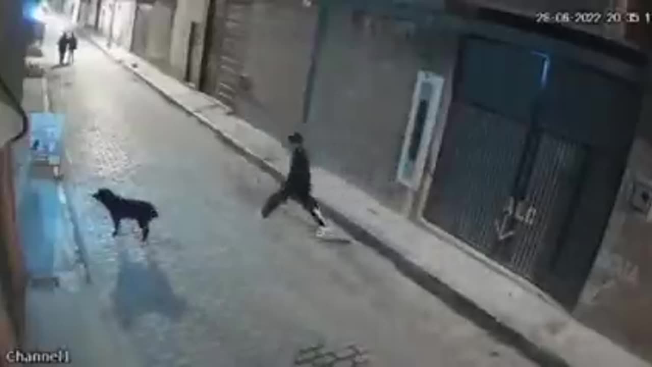 Man tries to kick a dog and gets instant karma