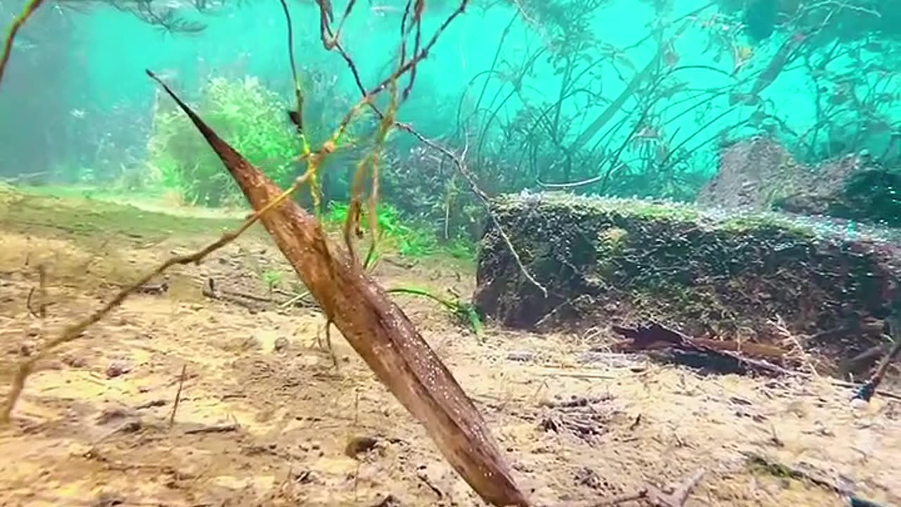 Beautifull Nature under water||