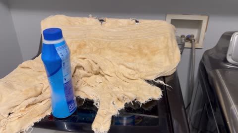 The Towel of Gunk Gets Put Through the Wringer Part 40 of 42. Reviewing Load #35, Truth Social, and Getting Ready for Load #36 on Saturday, 06/29/2024, at 06:23 EDT.