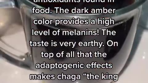 CHAGA MUSHROOM! Morning routine for coffee replacement!