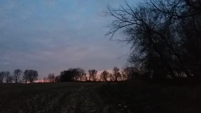 Psalm 14 Revised Standard (they are corrupt)