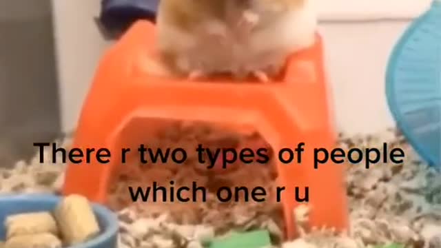 I’m the energetic one definitely