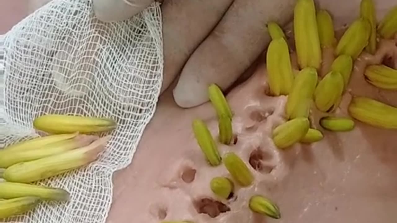is this a mini banana??