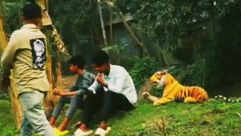 Fake Tiger Prank