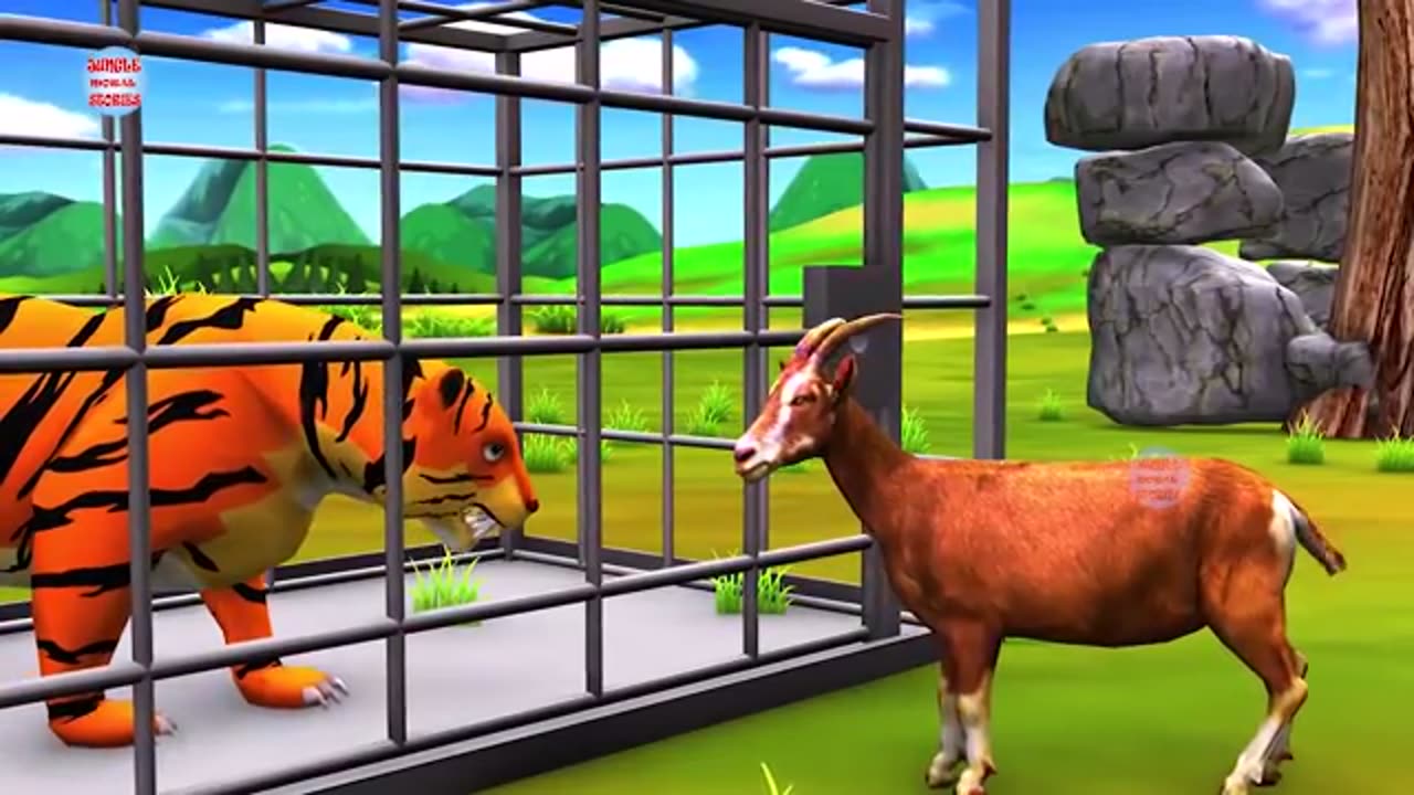 Enimal funny video