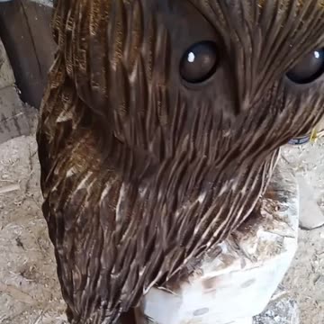 Chainsaw carvings