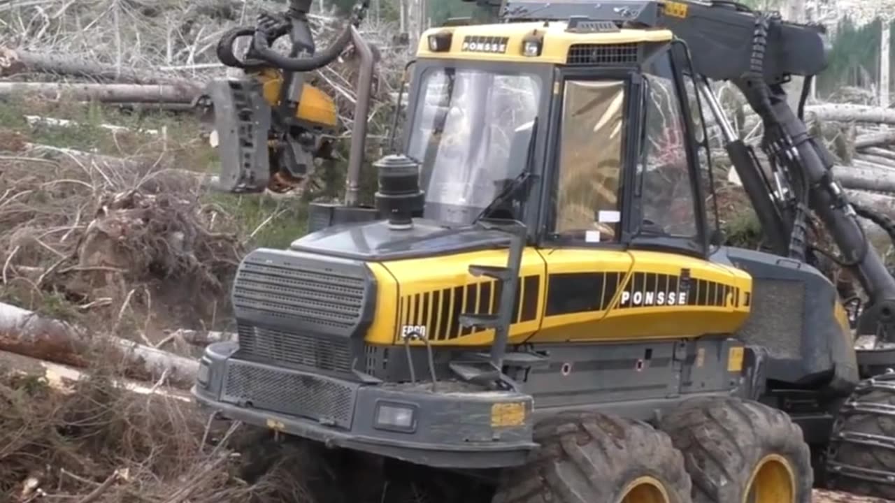 In the lumber mill, special crawlers are used to clean