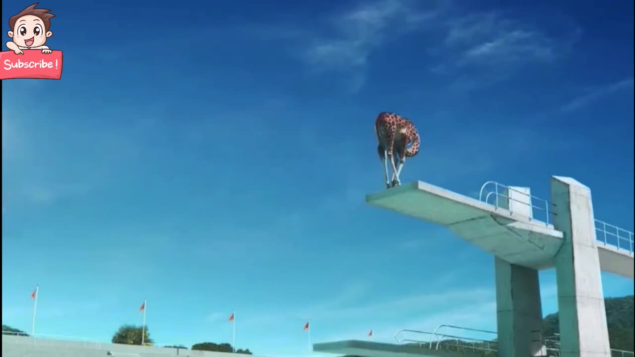 Funny animal act | Animals enjoy themselves