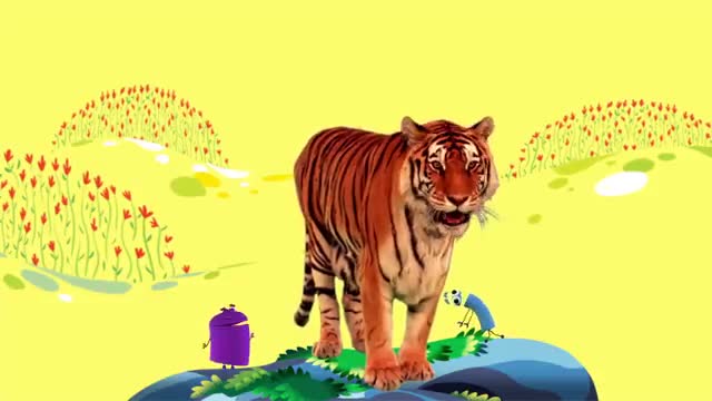 Animal Songse,' by StoryBots - Netflix Jr_Cut