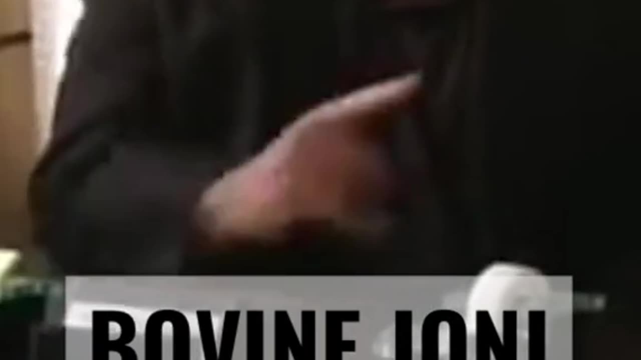 Bovine Joni / ALWAYS SUNNY