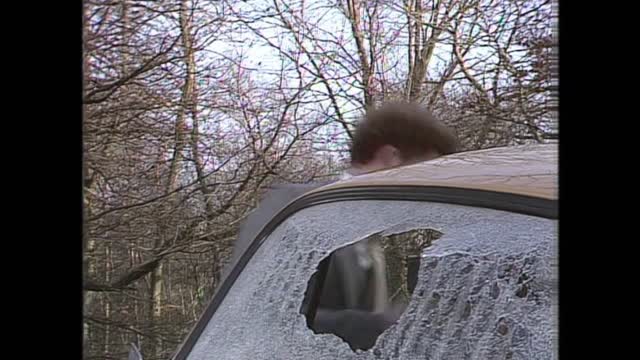 Chance in a Million - A Buzzard Has Shattered My Windscreen