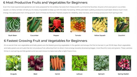 NEW WAY TO FARM (OUTSIDE OF A COLLAPSING SUPPLY CHAIN)