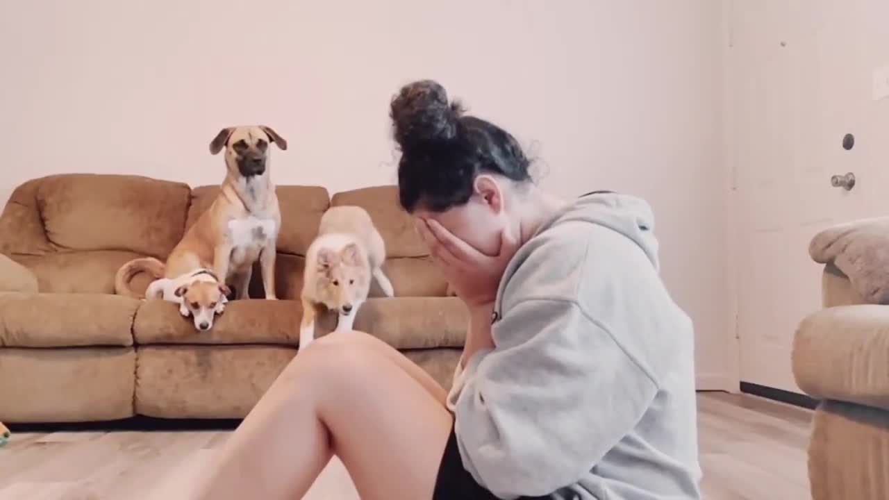 Sweet Doggos Rushing To Their Mum When She Pretends To Be Crying