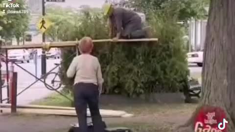 This is just a prank