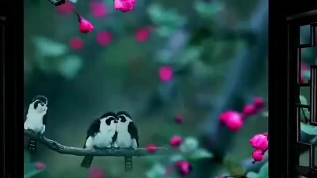 Beautyfull loving birds💜|| Status for nature lover💘..mind relaxing sound by nature