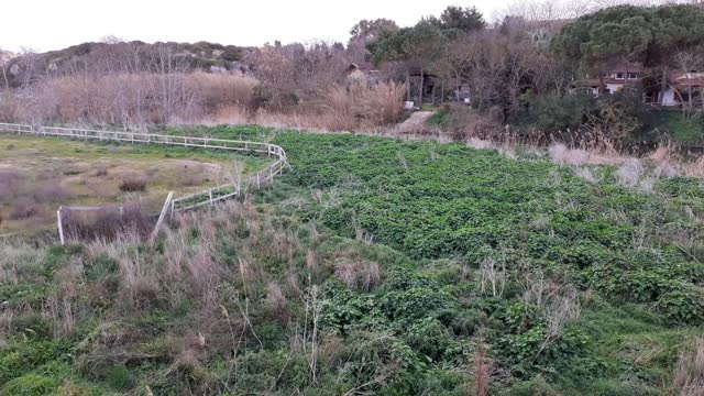 Panoramic view of nature from the Roman Bridge