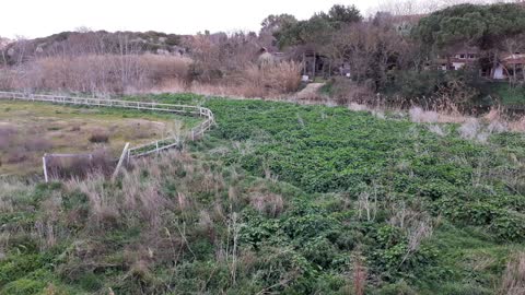 Panoramic view of nature from the Roman Bridge