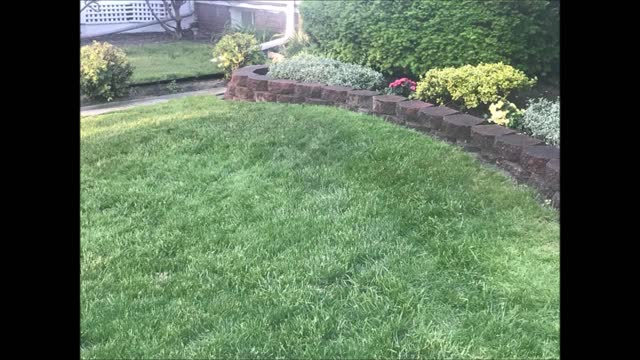 Yancy Landscaping - (989) 203-1308