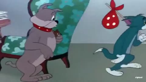 Tom and jerry tom vs spike complet