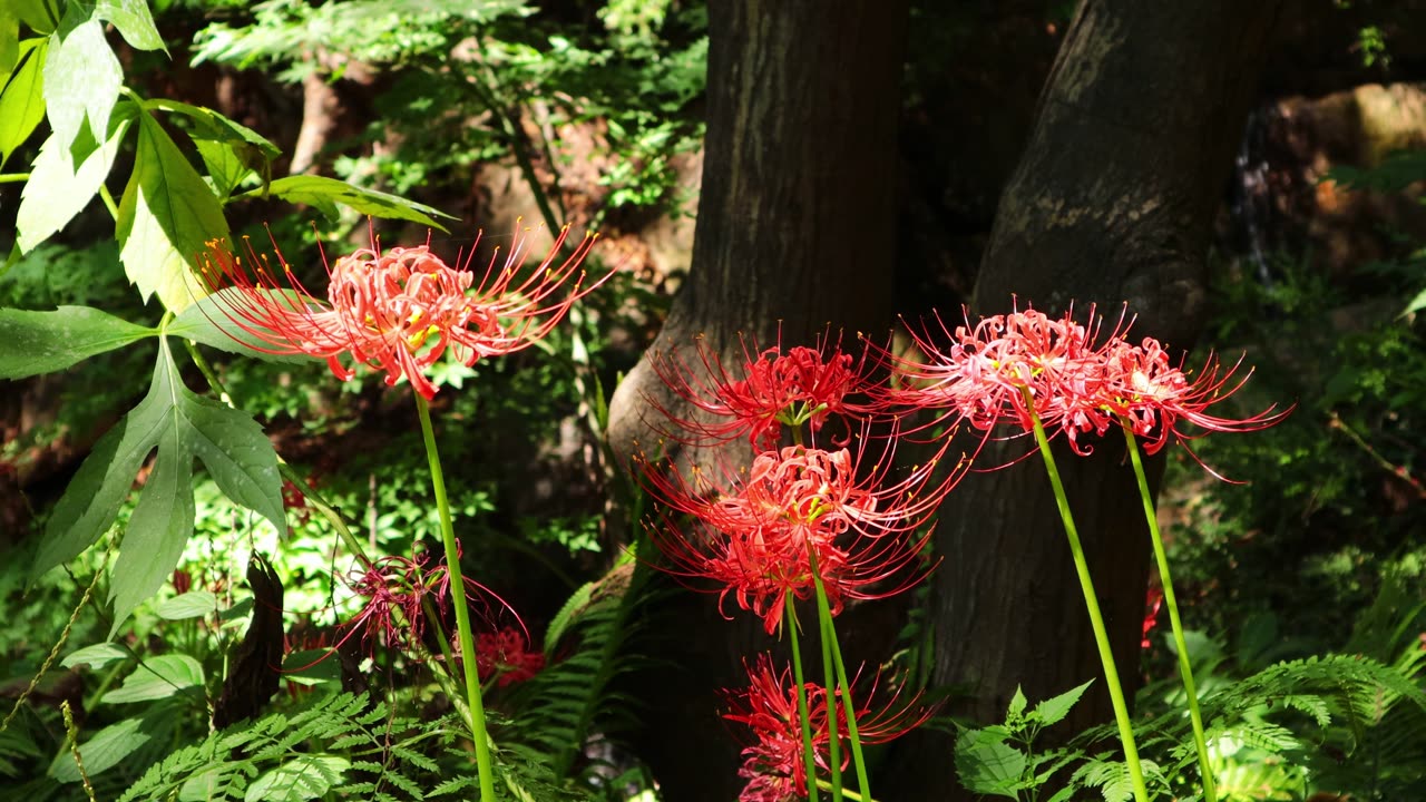 It is a beautiful and gorgeous red flower bouquet like a crown