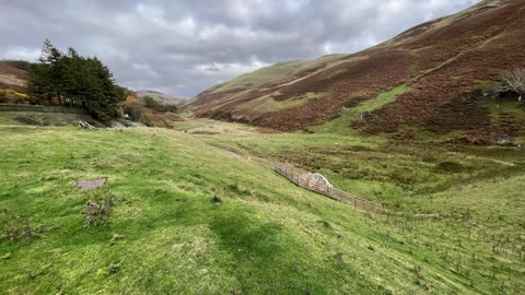 Harlaw - Green Cleugh - The Pinnacle - Kings Hill - Bell's Hill loop