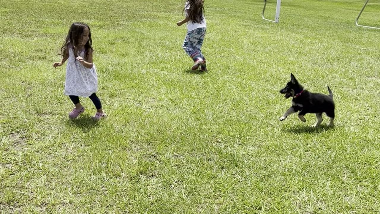 Running with Asami