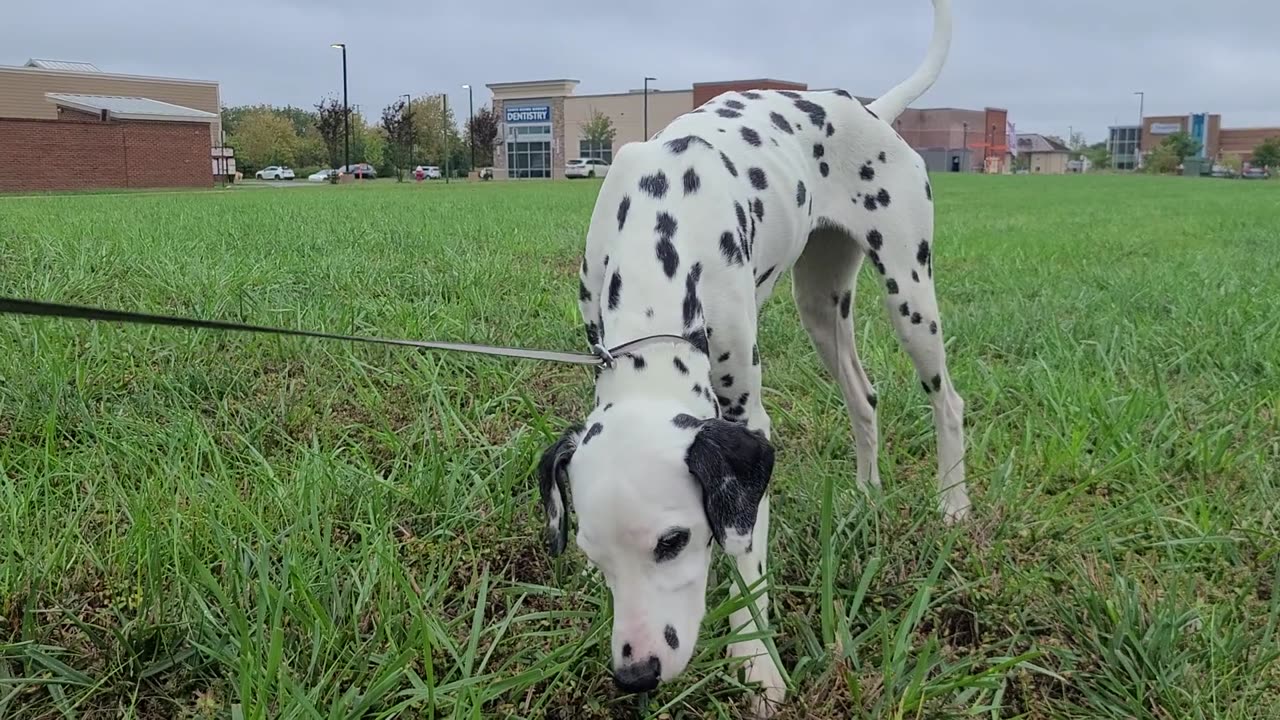 Luna Is Back After Three Weeks Of Boarding