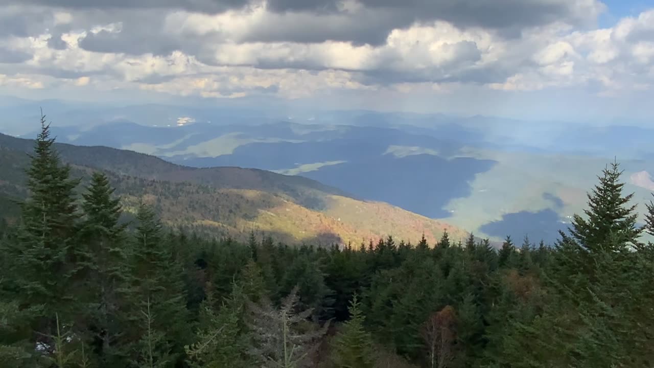 NW NC at The Treehouse / Mount Mitchell elevation 6,684 feet / highest peak east of the Mississippi