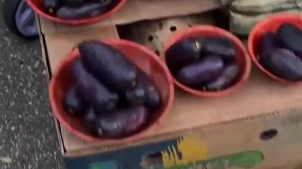 What tf has happened to France?