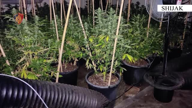 Shtepi bari në Shijak