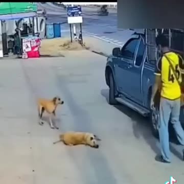 Ghost car drive 2023