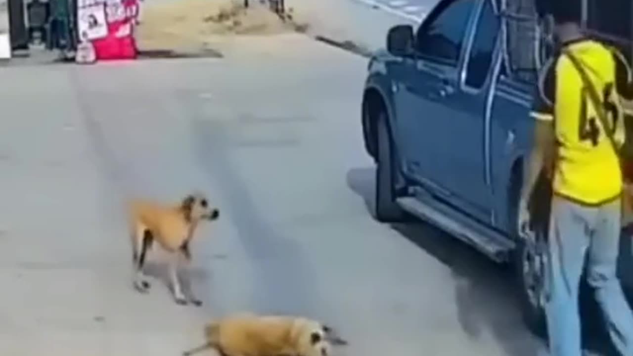 Ghost car drive 2023