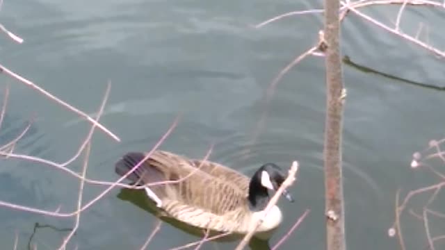 Current View 4-8-22 Nature