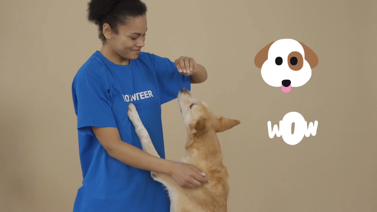 Funny Dogs Reaction Moments - Funniest Animals Video 2023 | Pets ...Funny Dogs