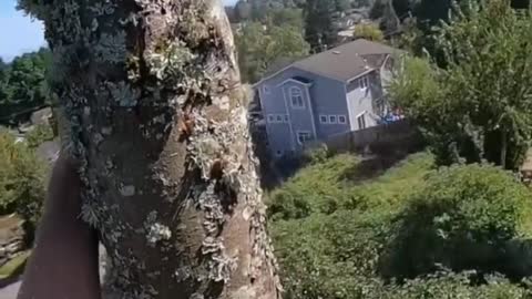 Dropping a little chunk of Alder on the woodpile