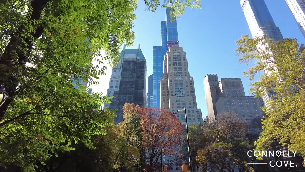 Central Park Famous Urban Park New York City NYC USA Travel Video