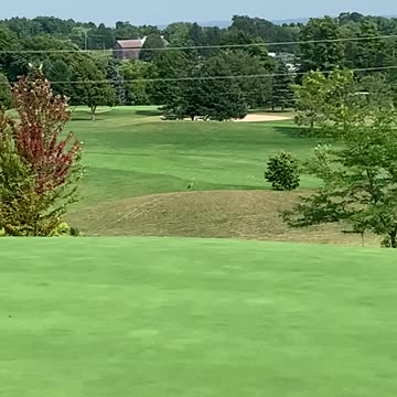 Gray Heron enjoying some golf