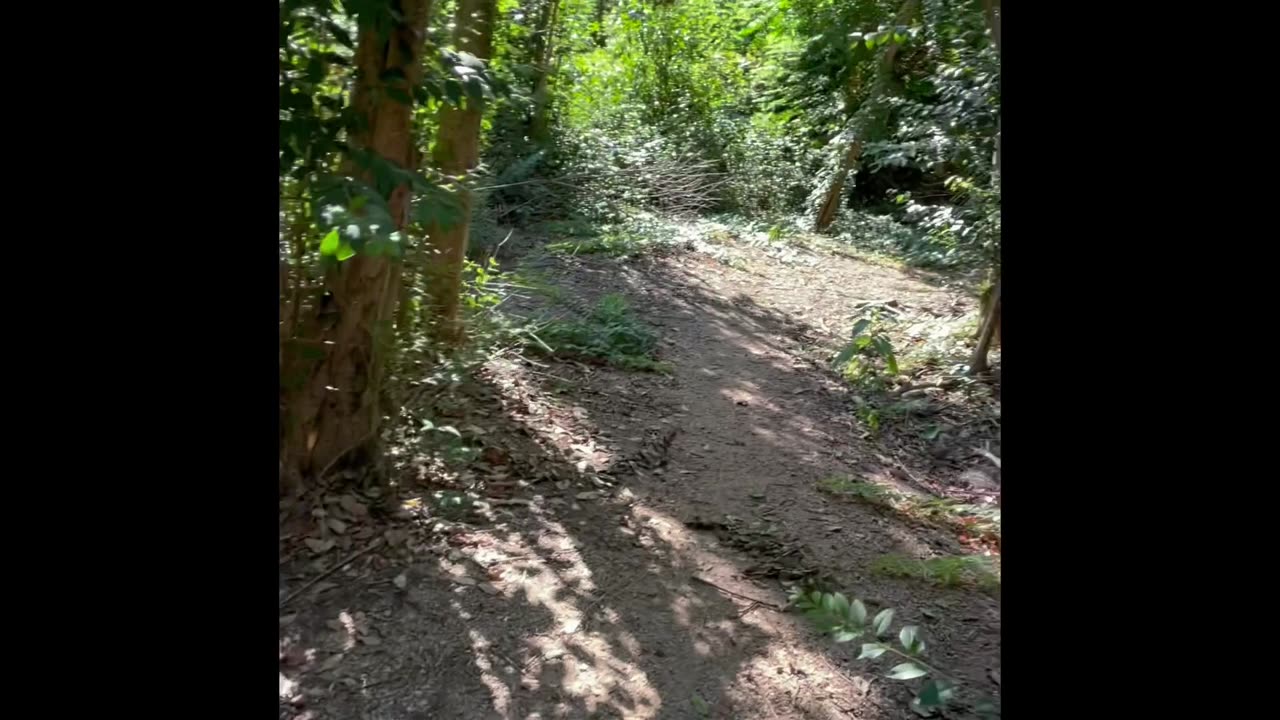 (07/13/2023) MCBRAYER CITY PARK, LORENA,TEXAS