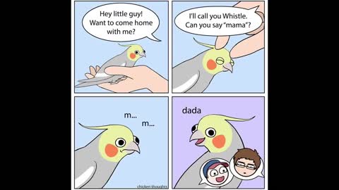 Comics With A Parrot Twist