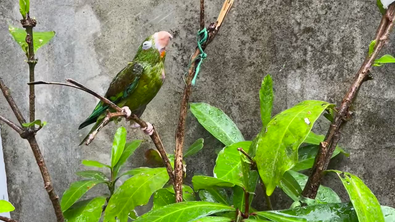 Bath Time Interrupted