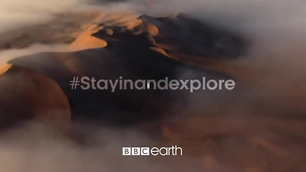 10 TOP Natural History Moments | Amazing Video