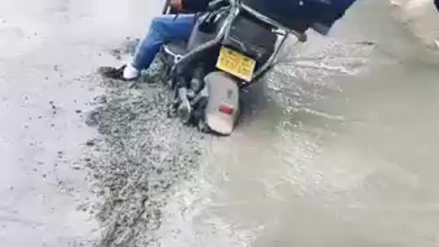 Funny videos 2023